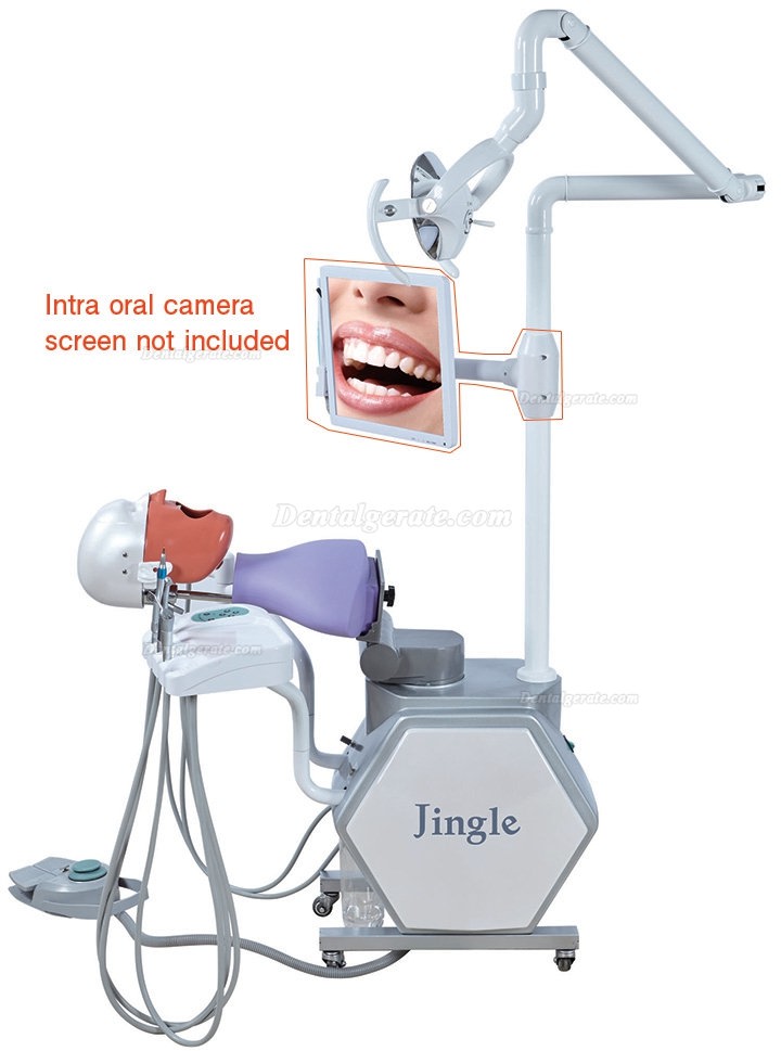 Jingle JG-A11 Phantomkopf Zahnmedizin-Simulator Dentaler Patientensimulator